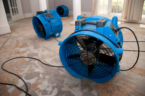 Trusted Water Damage Restoration in Frontenac, MO | Fast, Reliable, and Ready to Assist You